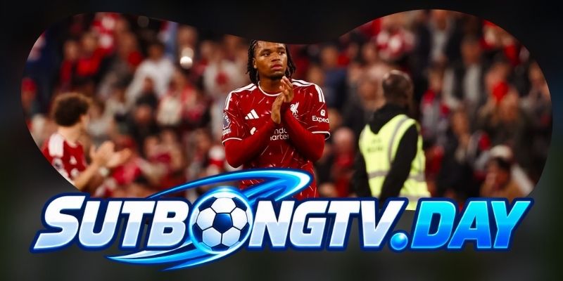 Tổng hợp dự đoán kèo trận Brentford vs Liverpool ngày 17/10